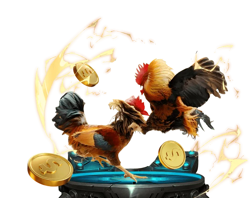 Biểu tượng điều khoản và điều kiện, tượng trưng cho sự minh bạch của 888 online